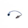 Oxygen Sensor -