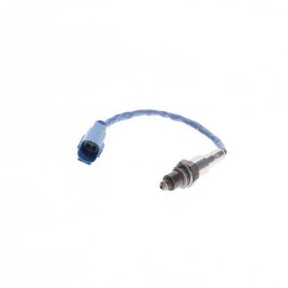 Oxygen Sensor -