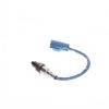 Oxygen Sensor -