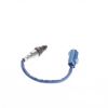 Oxygen Sensor -