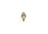 Spark Plug -