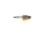 Spark Plug -