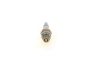 Spark Plug -