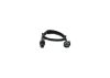 Oxygen Sensor Honda