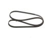 V-Ribbed Belt -