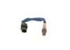 Oxygen Sensor -