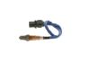 Oxygen Sensor -