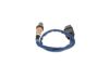 Oxygen Sensor -