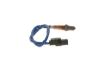 Oxygen Sensor -