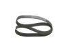 V-Ribbed Belt -