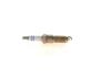 Spark Plug -