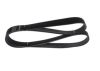 V-Ribbed Belt -