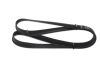 V-Ribbed Belt -
