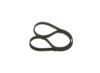 V-Ribbed Belt VOLVO - 30637495, MINI - 11 28 7 798 112 - 6PK976
