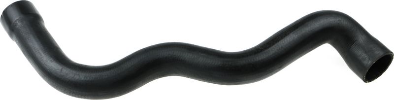 Radiator Hose -