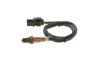 Oxygen Sensor -
