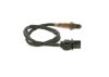 Oxygen Sensor -