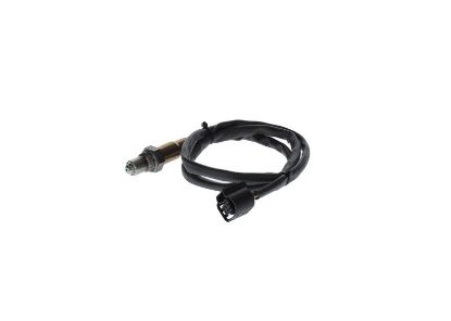Oxygen Sensor -