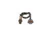 Oxygen Sensor -