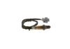 Oxygen Sensor -