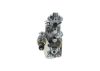 lnjection Pump -