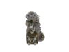 lnjection Pump -