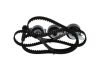 Timing Belt Kit -