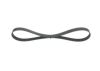 V-Ribbed Belt -
