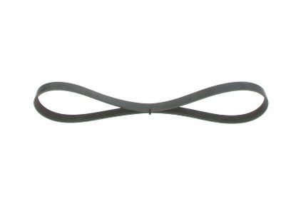 V-Ribbed Belt -