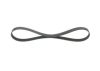 V-Ribbed Belt -