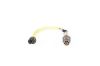 Oxygen Sensor Smart