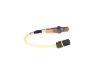 Oxygen Sensor Smart