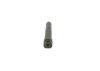 Nozzle and Holder Assembly -