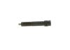 Nozzle and Holder Assembly -