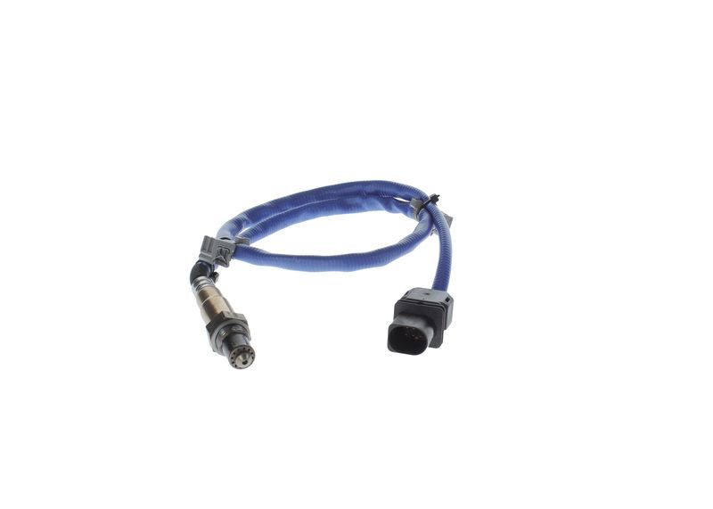 Oxygen Sensor -