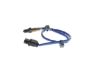 Oxygen Sensor -