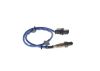 Oxygen Sensor -