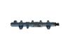Distributor Pipe, fuel -
