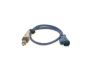 Oxygen Sensor -