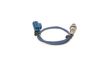 Oxygen Sensor -