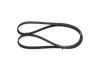 V-Ribbed Belt -