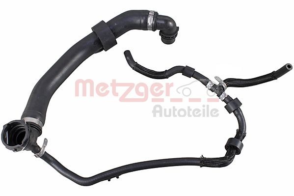 Radiator Hose -