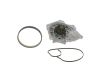 Water Pump & Timing Belt Kit -