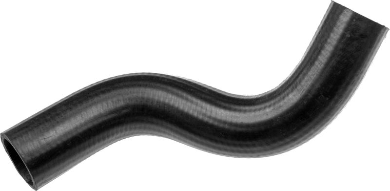 Radiator Hose -