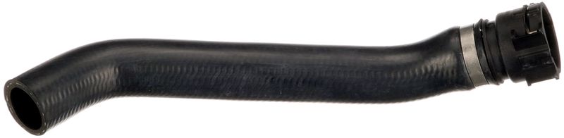 Radiator Hose -