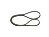V-Belt -