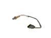 Oxygen Sensor -