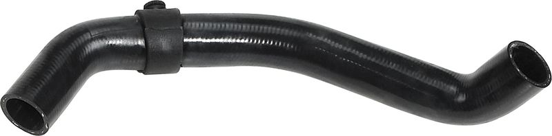 Radiator Hose -