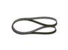 V-Ribbed Belt -