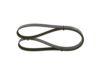 V-Ribbed Belt -